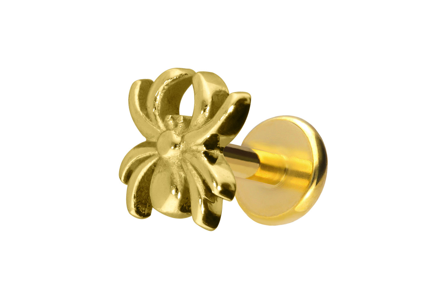Titan Labret Piercing mit Push Fit SPINNE